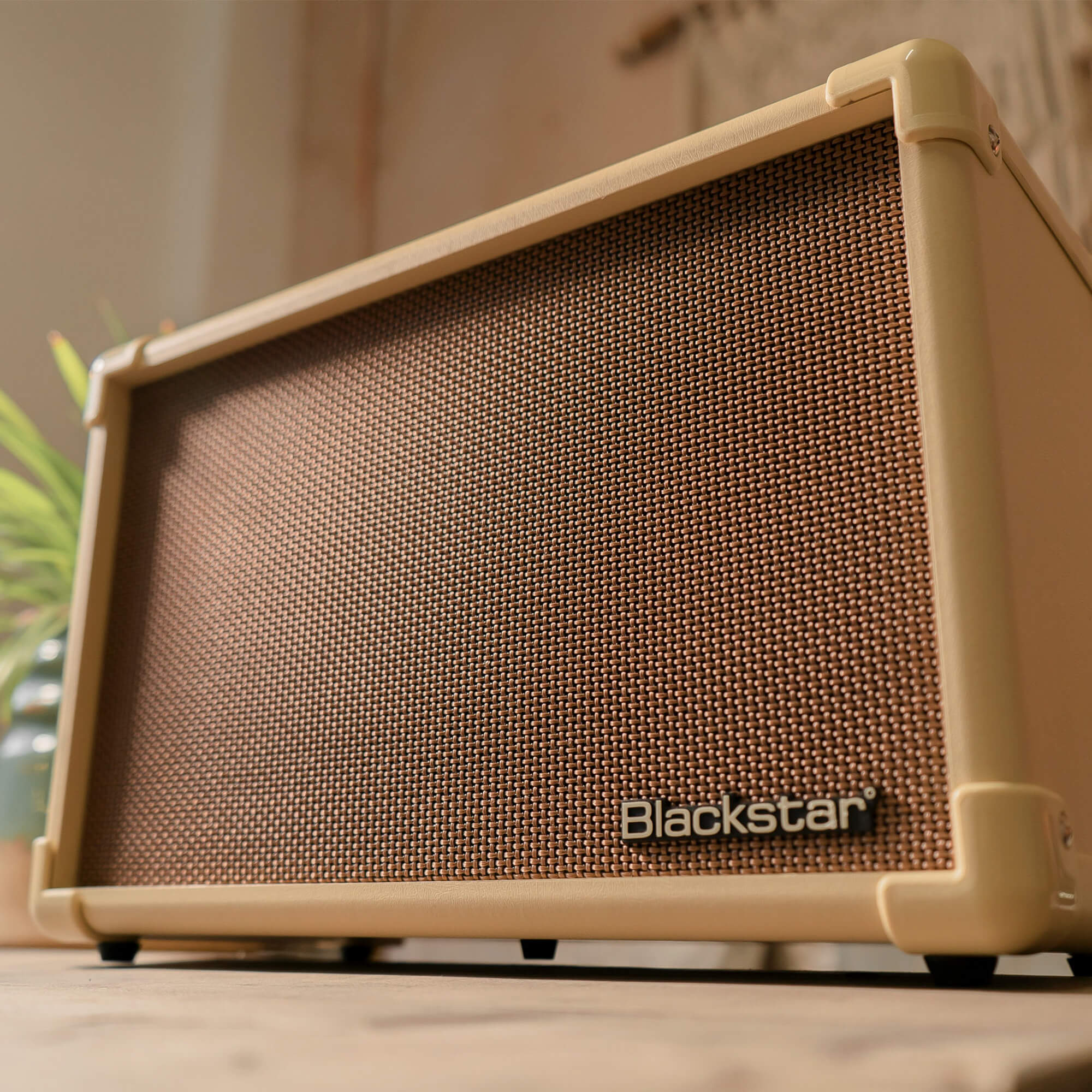 Acoustic:Core 30W Stereo Acoustic Guitar Amp - Image 2